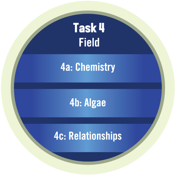 Task 4