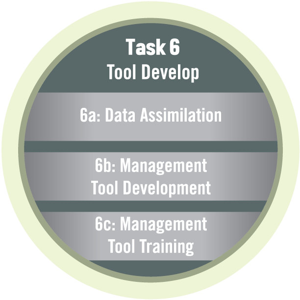 Task 6