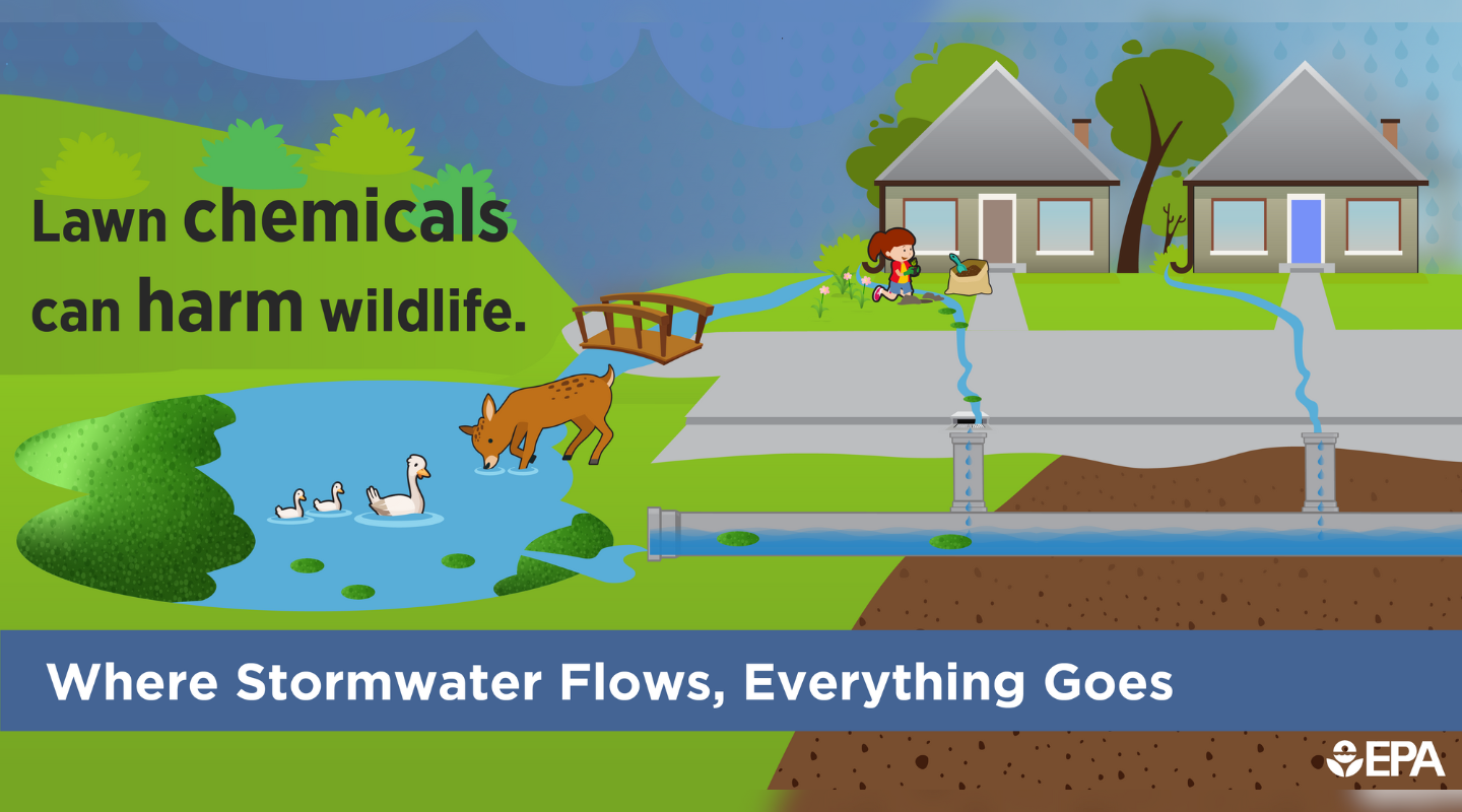 Lawn chemicals infographic