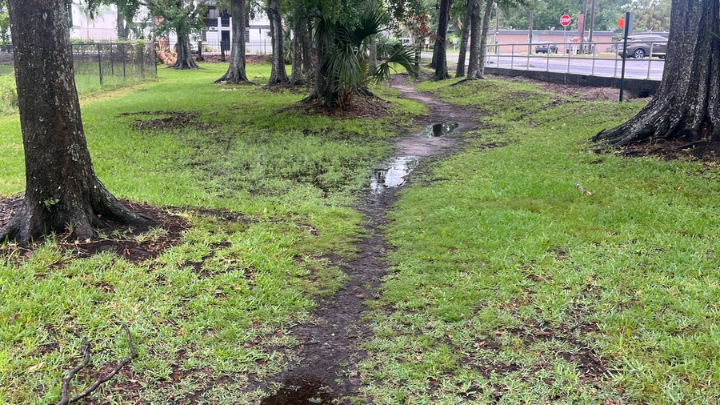 Sitting water on trail