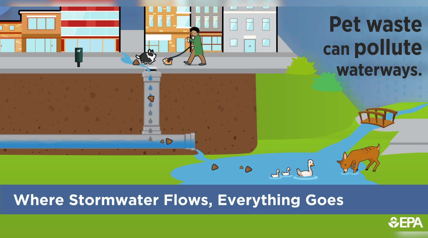 Pet waste infographic