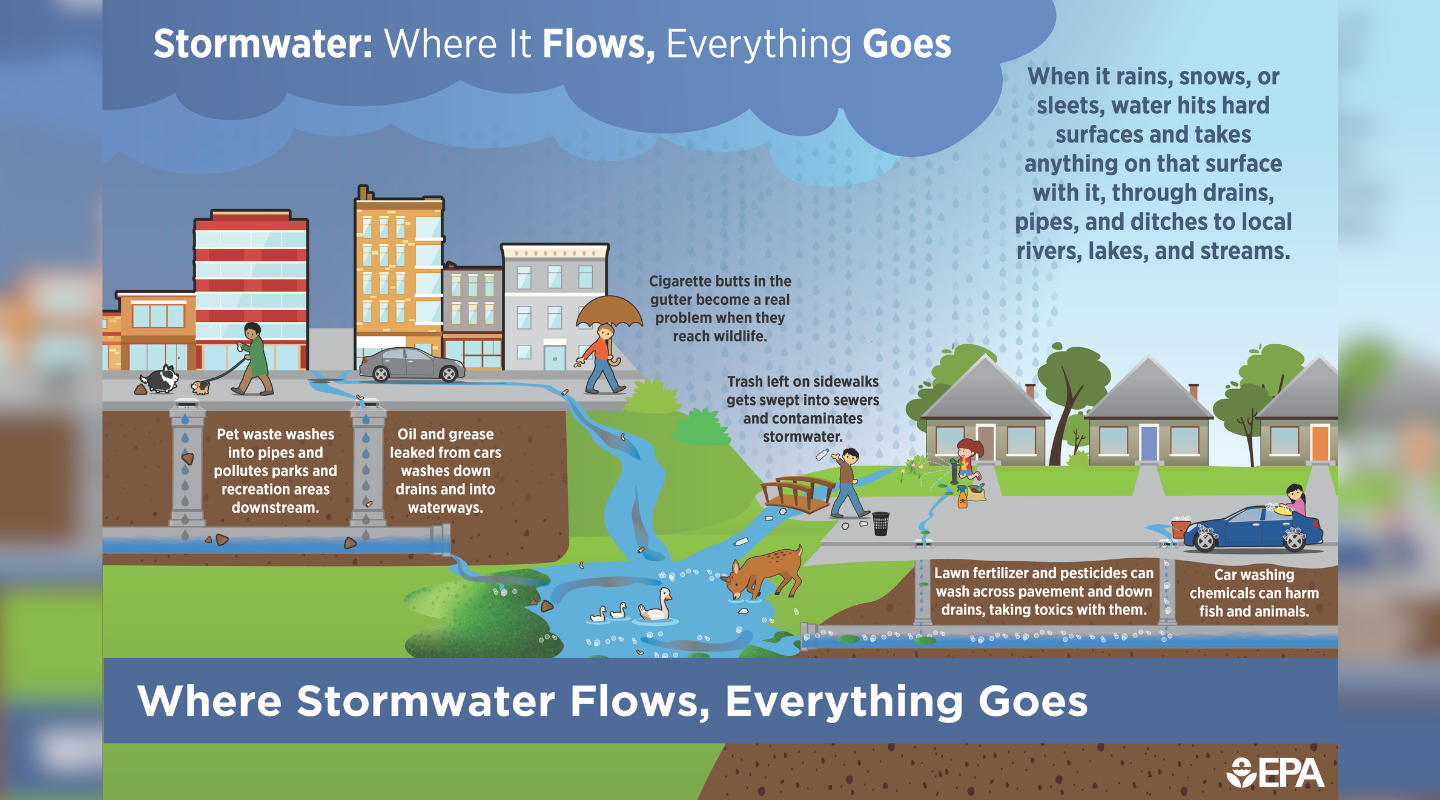 Where stormwater flows infographic