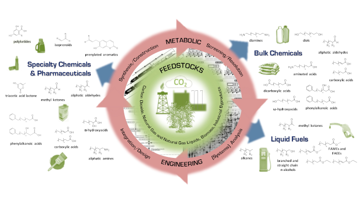 Metabolic engineering concept diagram from Gonzalez group.