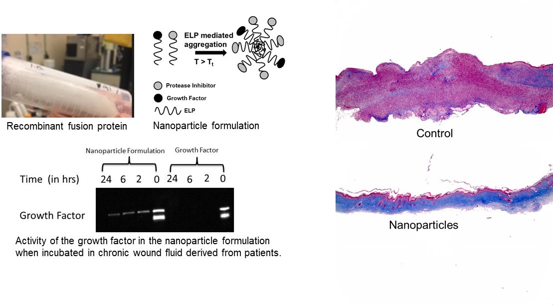 Koria lab research image
