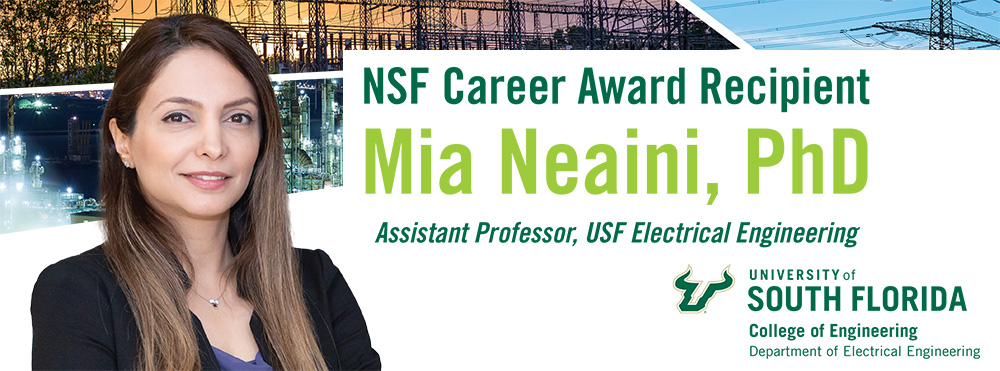 Mia Naeini wins NSF Career Award