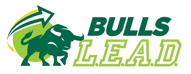 Bulls Lead logo