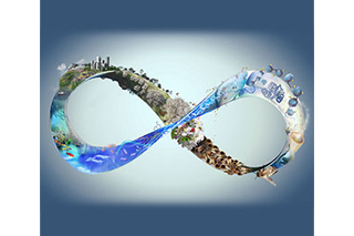 nsf rol logo