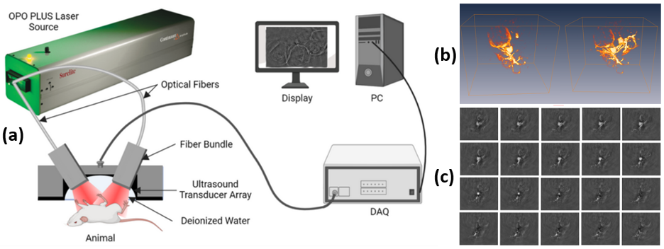 3D photoacoustic tomography