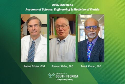 ASEMFL Inductees