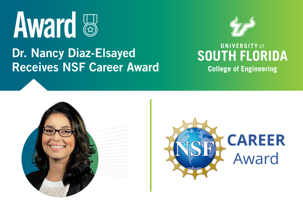 Dr. Nancy Diaz-Elsayed Receives NSF Career Award