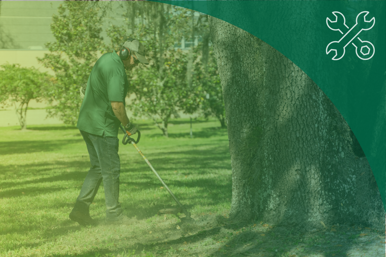 Groundskeeper maintaining grass area near tree