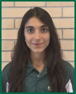 B2B Team Member Parnian