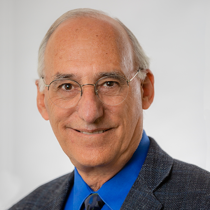 Dr. Howard Goldstein, Faculty Advisors