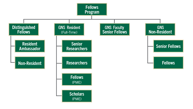 GNSI Fellows Programs