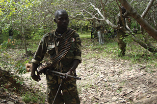 Senegal Casamance 1982 – 2022