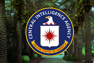 Cover image of the 2025 GNSI Annual Report