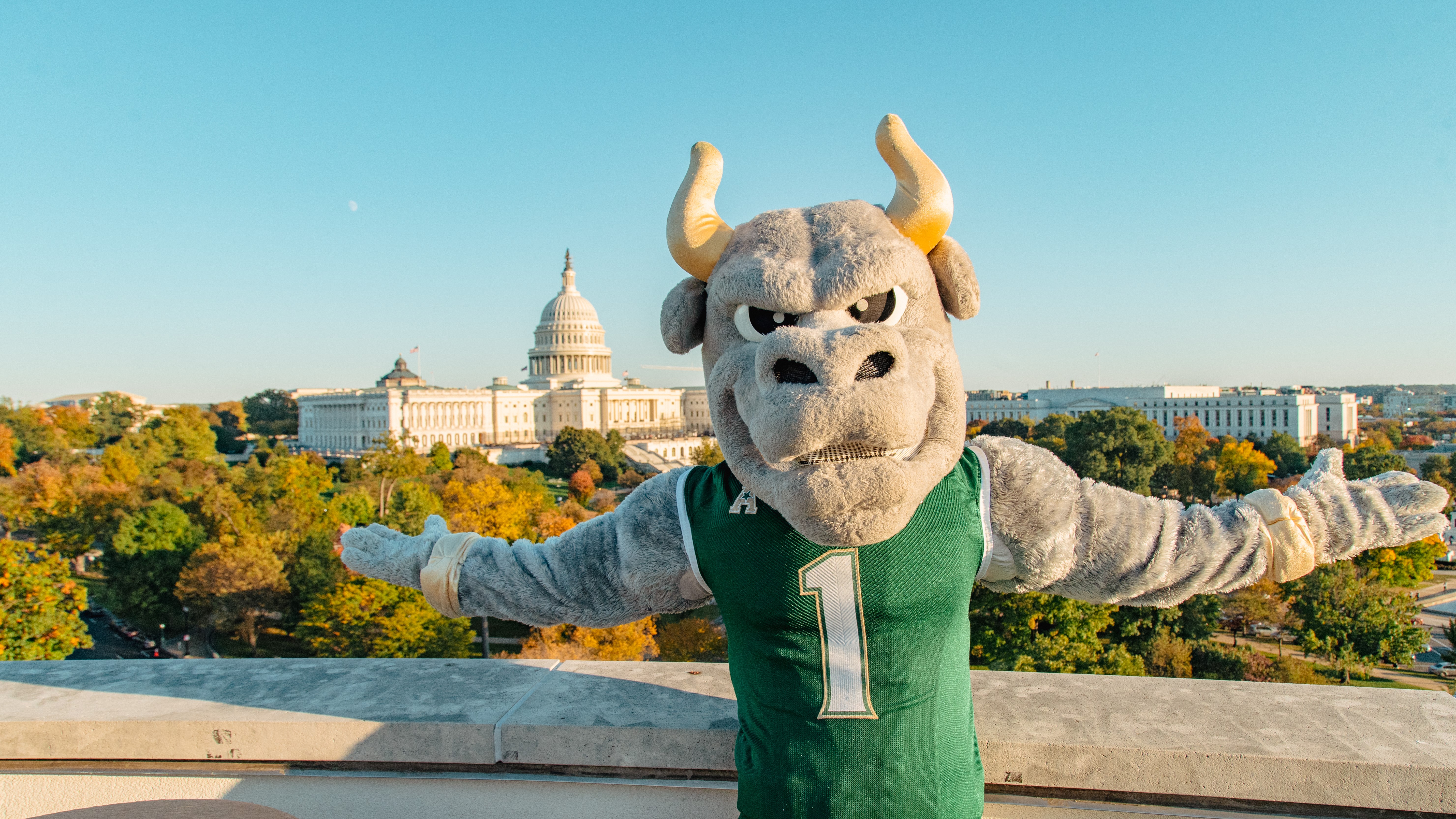 Rocky in DC