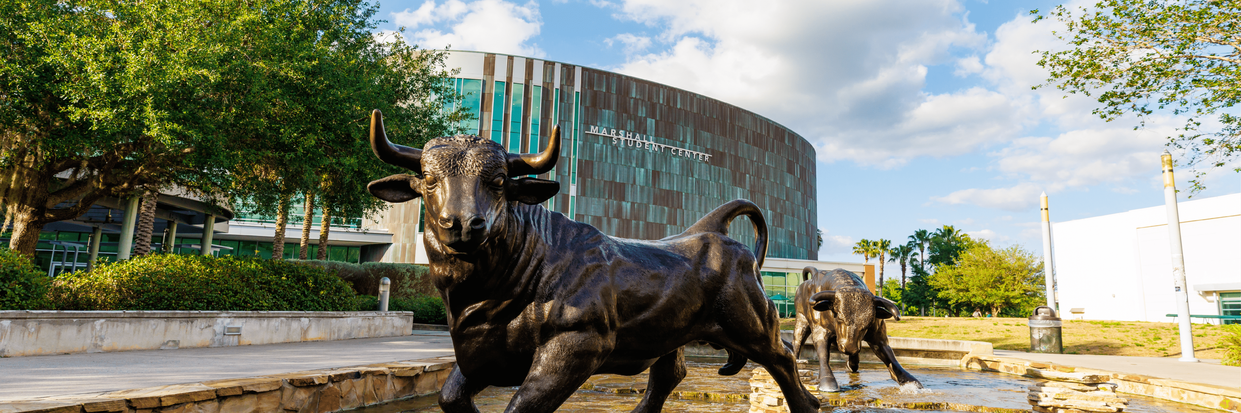 University Bull statue on Tampa campus