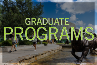 Programs clickable icon
