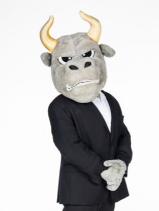 A photo of Rocky The Bull