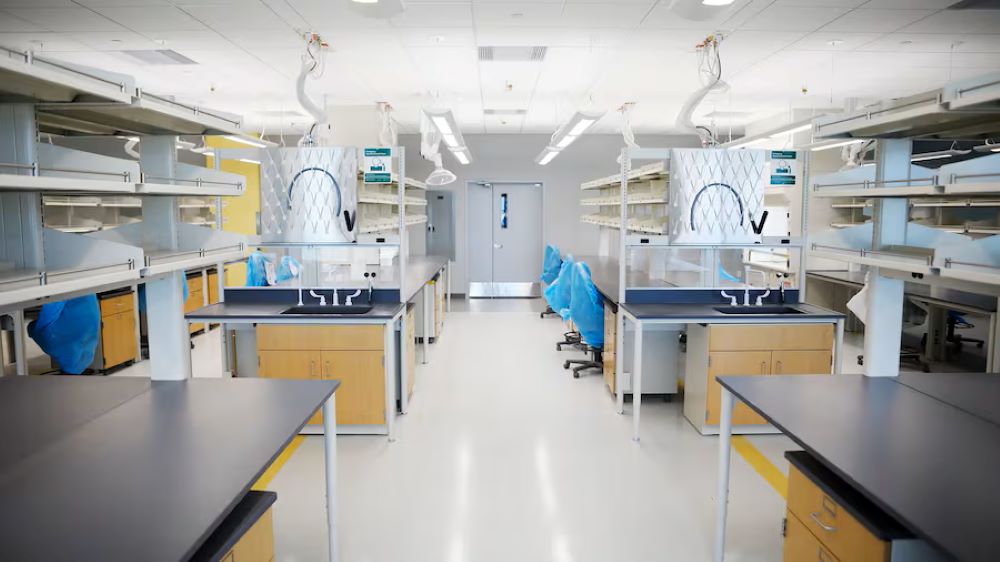 A research lab at USF Health 