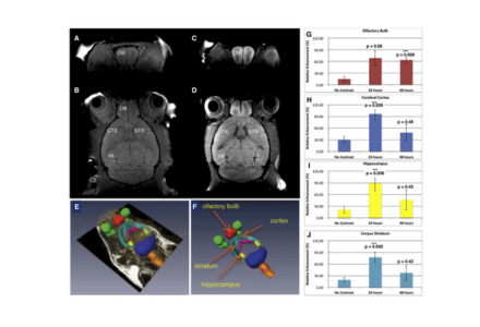 nanoparticle research