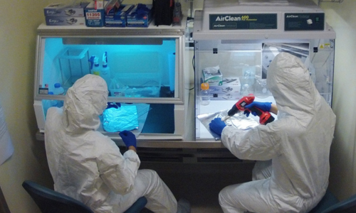 The Anceint DNA Lab at Florida Atlantic University