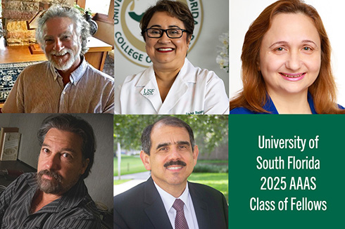Five USF faculty named 2025 fellows of American Association for the Advancement of Science