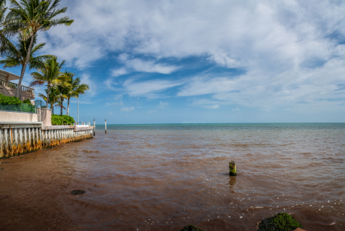 Research team uses new tool to define and predict harmful algal blooms