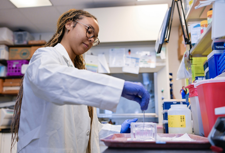 Research scientist works with equipment at research lab bench.