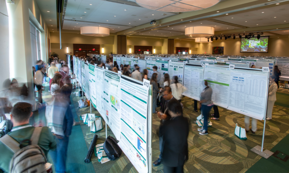 Rows of research posters