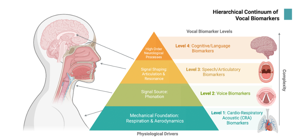 Hiaerarchical Continuum of Vocal Biomarkers