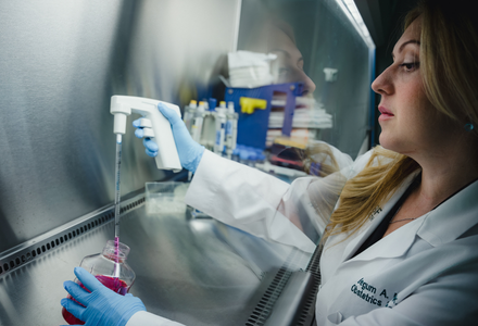 Researcher using a pipette to transfer liquid samples inside a laboratory biosafety cabinet.