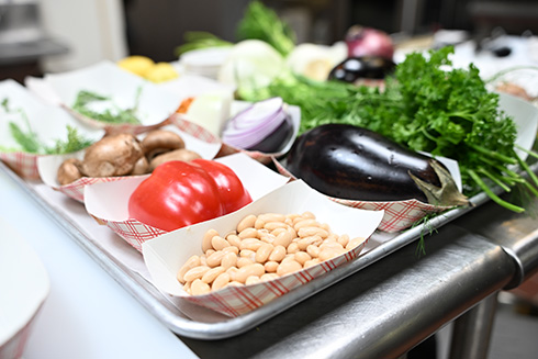 Morsani College of Medicine expands nutrition education to better prepare future physicians
