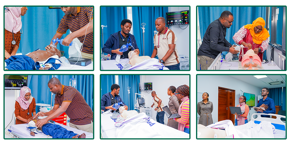 participants learning simulation.