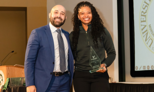 Alt Text