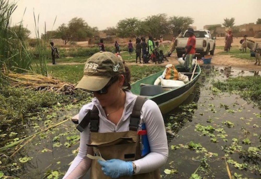 Woman with uSF baseball cap wading in river