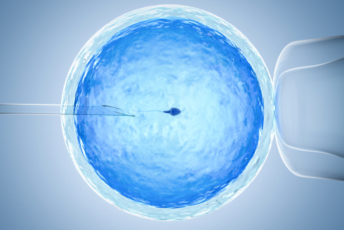 What is a frozen embryo worth? Alabama’s IVF case reflects bigger questions over grieving and wrongful death laws