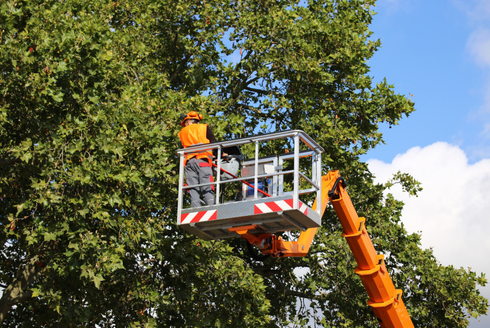 A utility worker in full safety gear repairs overhead power lines from a bucket lift on a clear day—an ideal visual for highlighting energy infrastructure, workplace safety, and field operations.