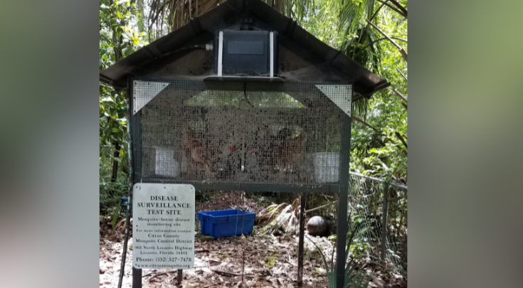chicken coop
