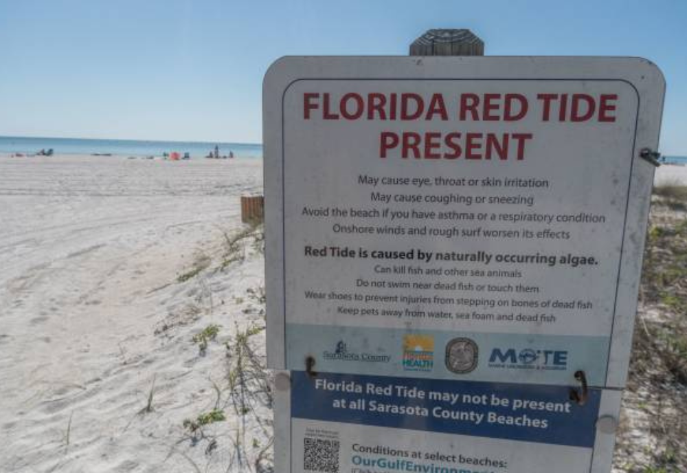 Lorem ipsum dolor sit amet.