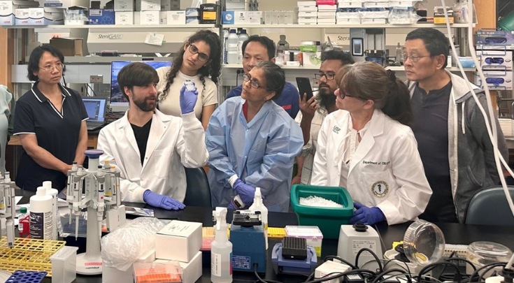 people in a laboratory