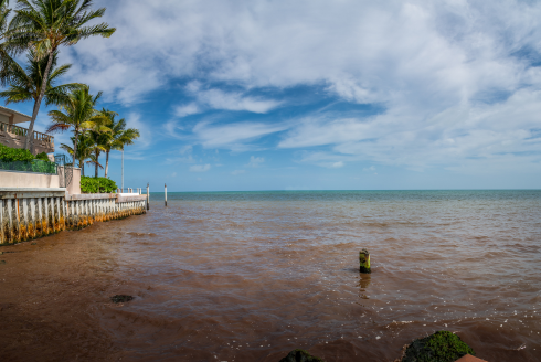 Research team uses new tool to define and predict harmful algal blooms