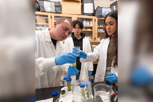 USF student teams win national recognition for space-related research