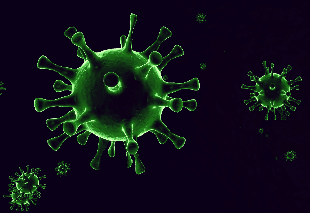 virus