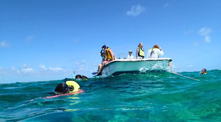 Honors students snorkelling in the turquoise Bahamian waters