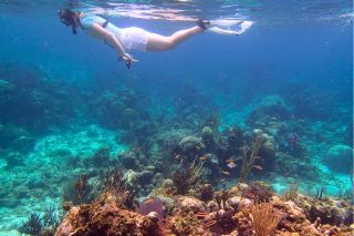 A student snorkeling near the top of the surface of the water with coral and fish underneath her.