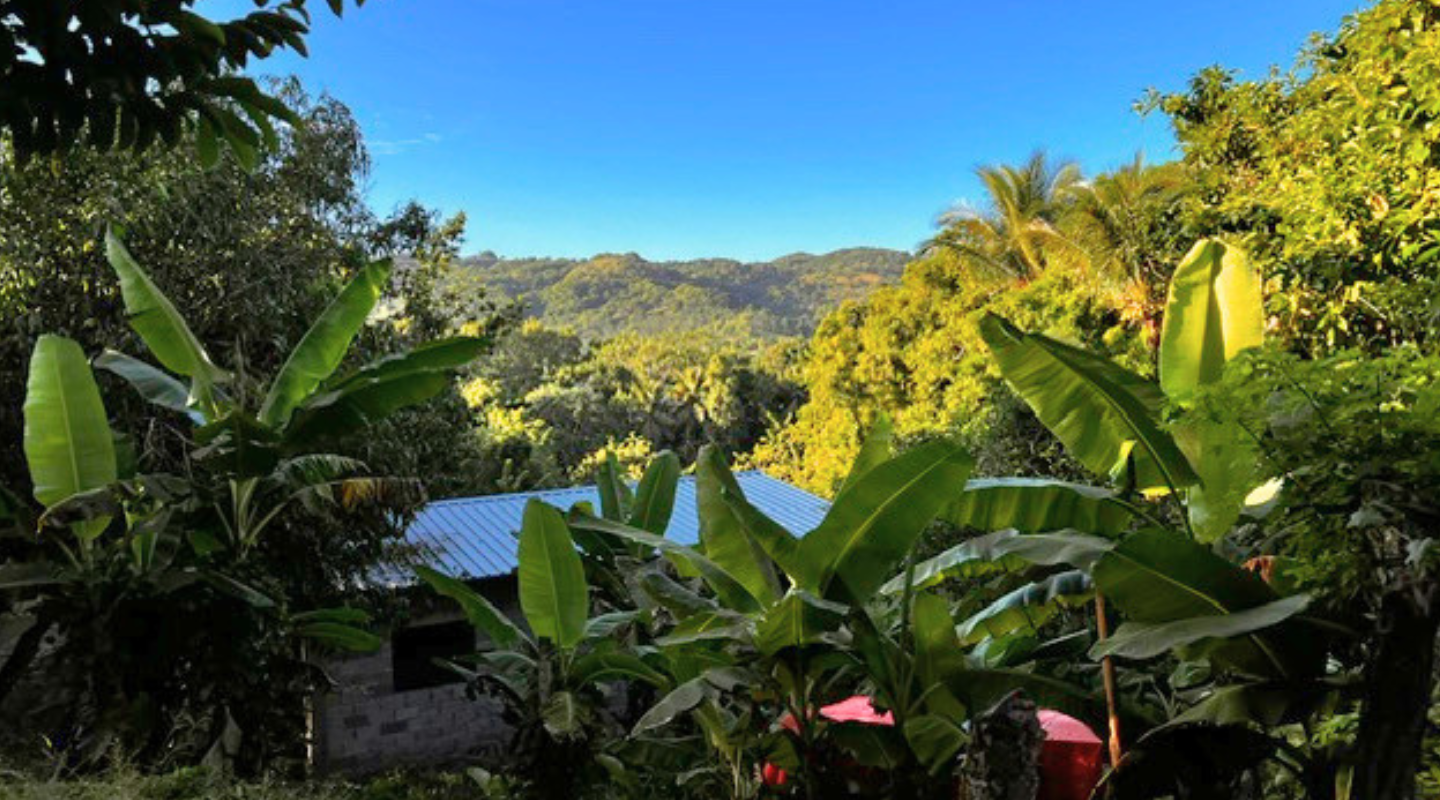 Tropical landscape of DR