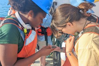 Students in safety gear inspect sea creature.