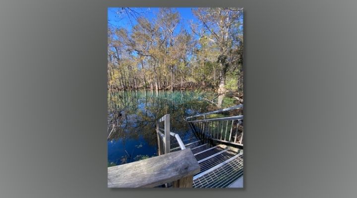 A photo of a metal staircase leading into turquoise water with trees surrounding it.